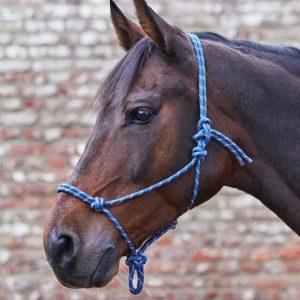 waldhausen dark blue/taupe